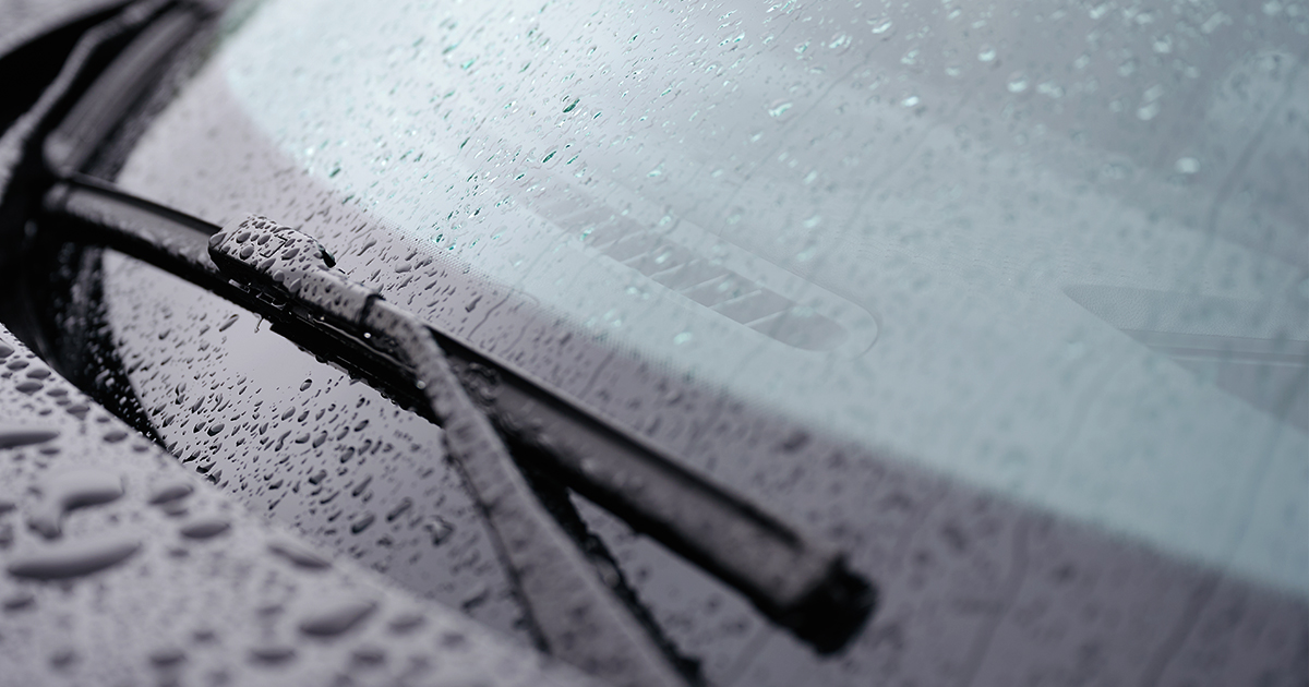 Close-up of the black frit band on a wet car windscreen