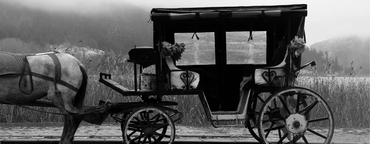 A traditional horse and carriage