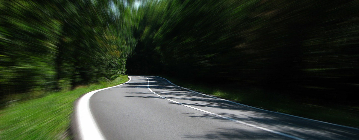 A blurred winding road lined with trees