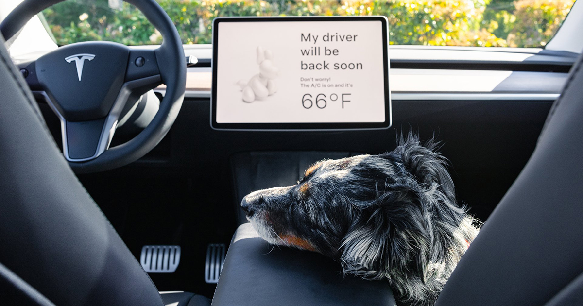 Tesla Model Y with Dog Mode activated