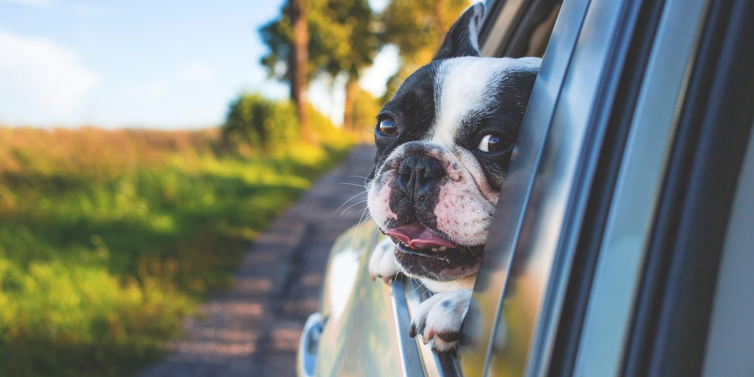 What is Car Leasing and How Does it Work for Your Business?