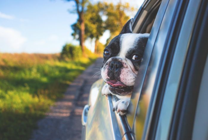 What is Car Leasing and How Does it Work for Your Business?